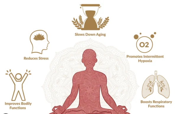 Comprehensive Benefits of Breath Meditation